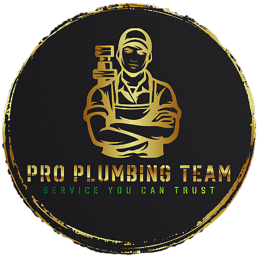 Pro Plumbing Team